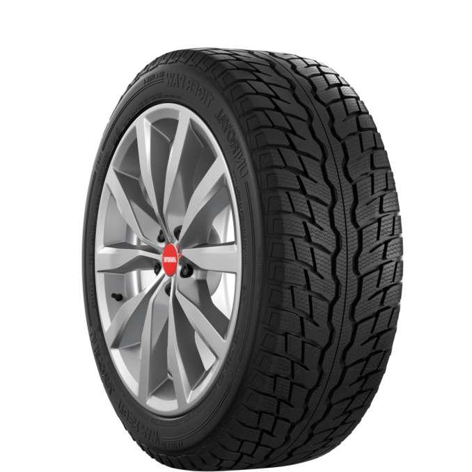 Pneu 225/50R18 | Arivo